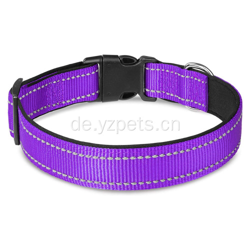 Reflektierendes Hundehalsband aus Nylon